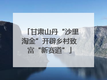 甘肃山丹“沙里淘金”开辟乡村致富“新赛道”