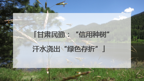 甘肃民勤：“信用种树” 汗水浇出“绿色存折”