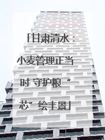 甘肃清水：小麦管理正当时 守护粮“芯”绘丰景