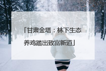 甘肃金塔：林下生态养鸡踏出致富新道