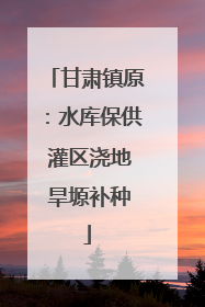 甘肃镇原：水库保供 灌区浇地 旱塬补种
