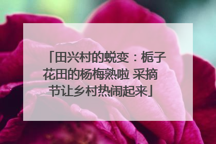 田兴村的蜕变：栀子花田的杨梅熟啦 采摘节让乡村热闹起来