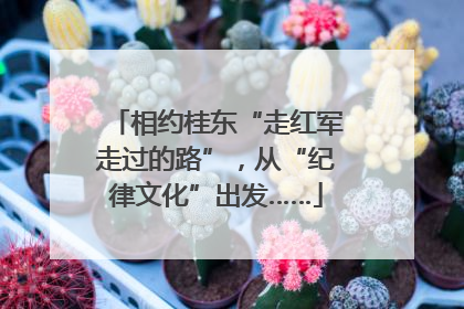 相约桂东“走红军走过的路”，从“纪律文化”出发……
