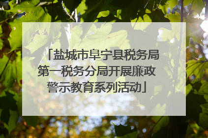 盐城市阜宁县税务局第一税务分局开展廉政警示教育系列活动