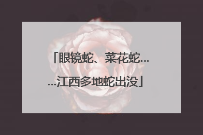 眼镜蛇、菜花蛇……江西多地蛇出没