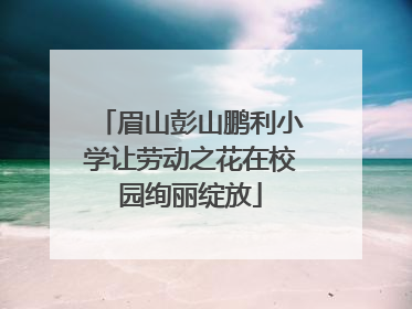 眉山彭山鹏利小学让劳动之花在校园绚丽绽放