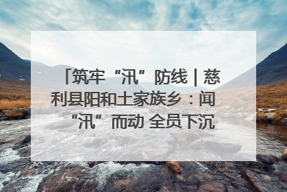 筑牢“汛”防线｜慈利县阳和土家族乡：闻“汛”而动 全员下沉筑牢防汛“安全堤”