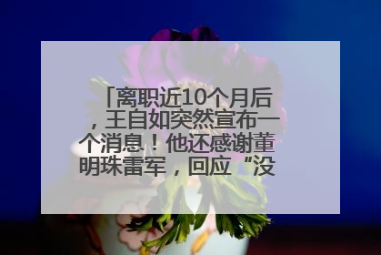 离职近10个月后，王自如突然宣布一个消息！他还感谢董明珠雷军，回应“没看过格力工资条”：真的不那么重要！