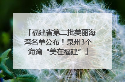 福建省第二批美丽海湾名单公布！泉州3个海湾“美在福建”