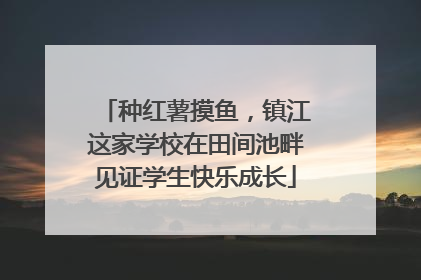 种红薯摸鱼，镇江这家学校在田间池畔见证学生快乐成长