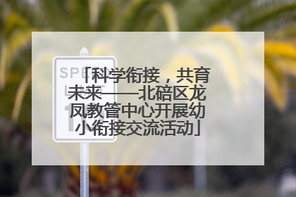 科学衔接，共育未来——北碚区龙凤教管中心开展幼小衔接交流活动