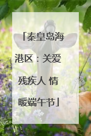 秦皇岛海港区：关爱残疾人 情暖端午节
