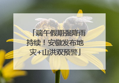端午假期强降雨持续！安徽发布地灾+山洪双预警