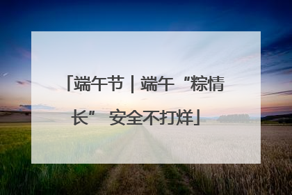 端午节｜端午“粽情长” 安全不打烊