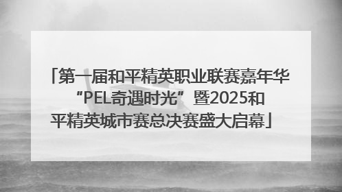 第一届和平精英职业联赛嘉年华“PEL奇遇时光”暨2025和平精英城市赛总决赛盛大启幕