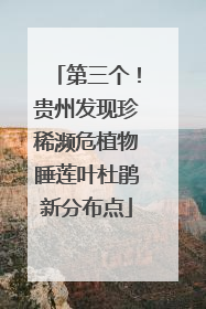 第三个！贵州发现珍稀濒危植物睡莲叶杜鹃新分布点