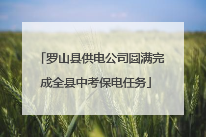罗山县供电公司圆满完成全县中考保电任务