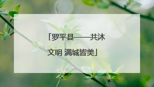 罗平县——共沐文明 满城皆美