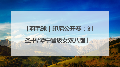 羽毛球｜印尼公开赛：刘圣书/谭宁晋级女双八强