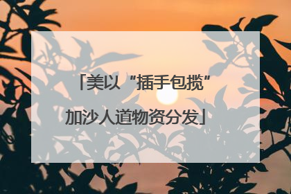 美以“插手包揽”加沙人道物资分发