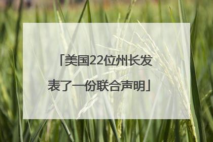 美国22位州长发表了一份联合声明