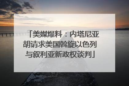 美媒爆料：内塔尼亚胡请求美国斡旋以色列与叙利亚新政权谈判