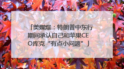 美媒爆：特朗普中东行期间承认自己和苹果CEO库克“有点小问题”