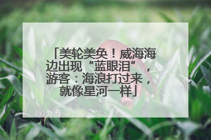 美轮美奂！威海海边出现“蓝眼泪”，游客：海浪打过来，就像星河一样