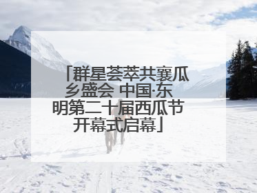 群星荟萃共襄瓜乡盛会 中国·东明第二十届西瓜节开幕式启幕