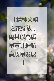 精神文明之花绽放，周村以高质量审计护航高质量发展