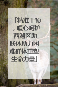 精准干预，暖心呵护 西湖区助联体助力困难群体重塑生命力量