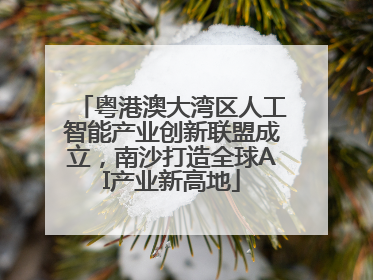 粤港澳大湾区人工智能产业创新联盟成立，南沙打造全球AI产业新高地