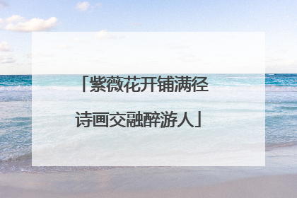 紫薇花开铺满径 诗画交融醉游人