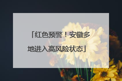 红色预警！安徽多地进入高风险状态