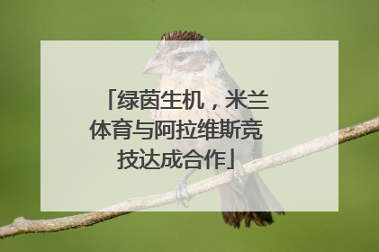 绿茵生机，米兰体育与阿拉维斯竞技达成合作