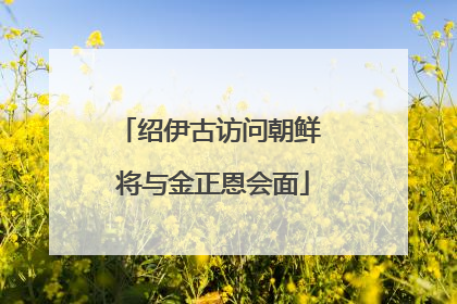 绍伊古访问朝鲜 将与金正恩会面