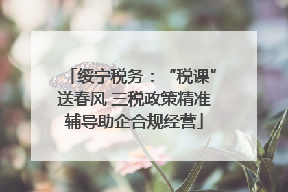 绥宁税务：“税课”送春风 三税政策精准辅导助企合规经营