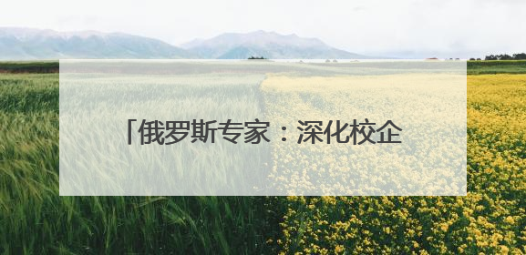 俄罗斯专家：深化校企合作 培养IT人才