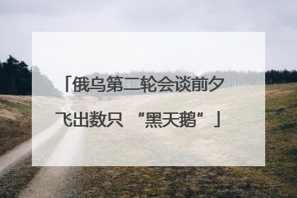 俄乌第二轮会谈前夕 飞出数只 “黑天鹅”