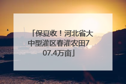 保夏收！河北省大中型灌区春灌农田707.4万亩