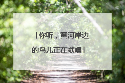 你听，黄河岸边的鸟儿正在歌唱