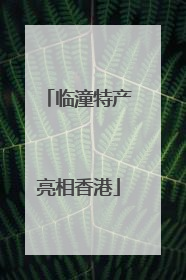 临潼特产亮相香港