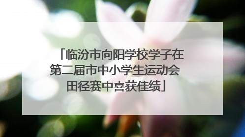 临汾市向阳学校学子在第二届市中小学生运动会田径赛中喜获佳绩