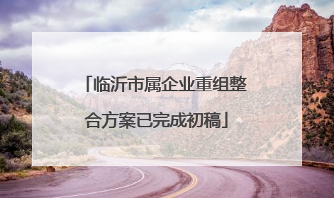 临沂市属企业重组整合方案已完成初稿