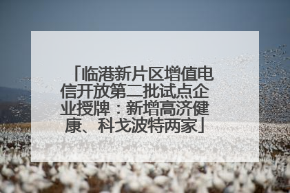 临港新片区增值电信开放第二批试点企业授牌：新增高济健康、科戈波特两家