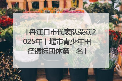 丹江口市代表队荣获2025年十堰市青少年田径锦标团体第一名