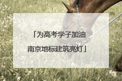 为高考学子加油 南京地标建筑亮灯