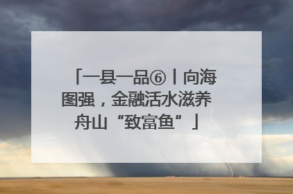 一县一品⑥丨向海图强，金融活水滋养舟山“致富鱼”