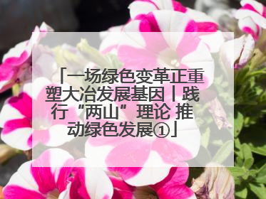 一场绿色变革正重塑大冶发展基因丨践行“两山”理论 推动绿色发展①