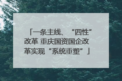一条主线、“四性”改革 重庆国资国企改革实现“系统重塑”